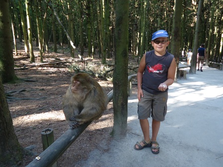 Affenberg Salem August 2013